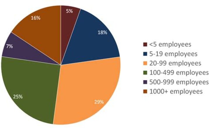 How many businesses in the US have more than 100 employees?