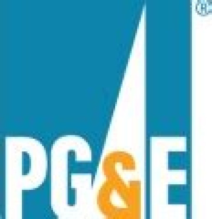 Is PG and E government owned?