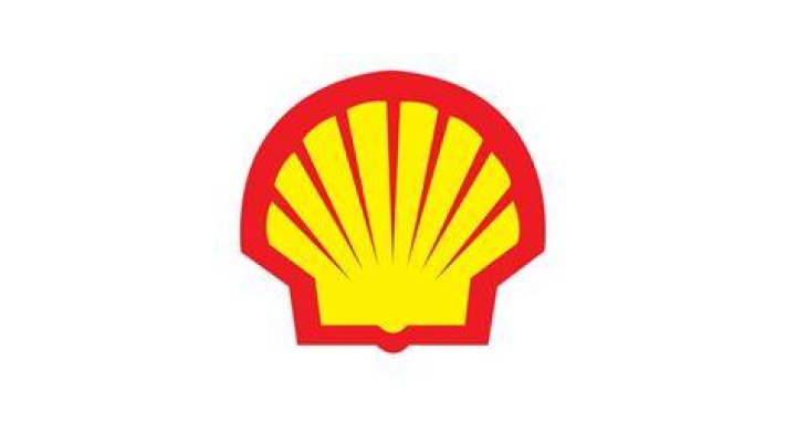 What companies does Royal Dutch Shell own?