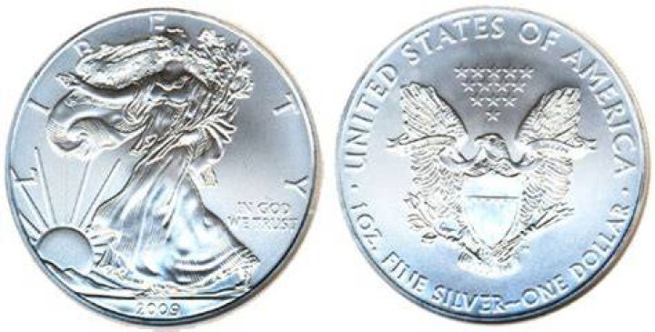 What is a 2009 silver eagle?
