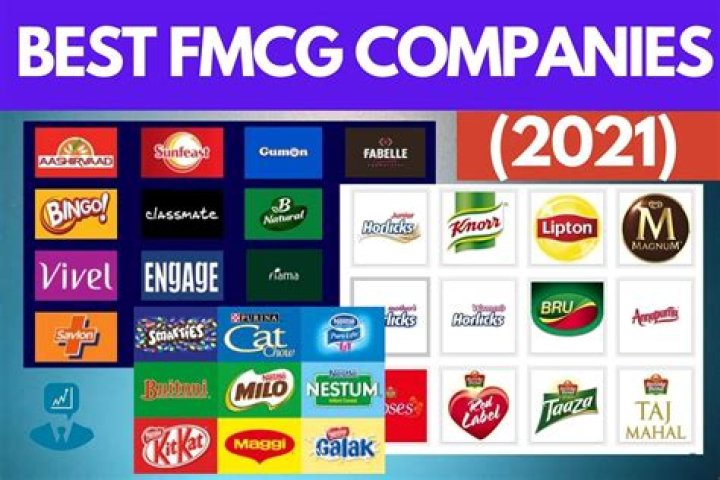 Which is the largest Indian FMCG company?