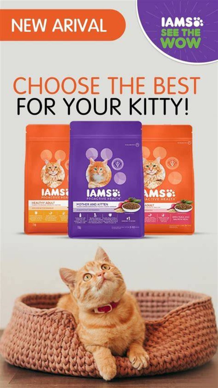 Who has the best prices on cat supplies?