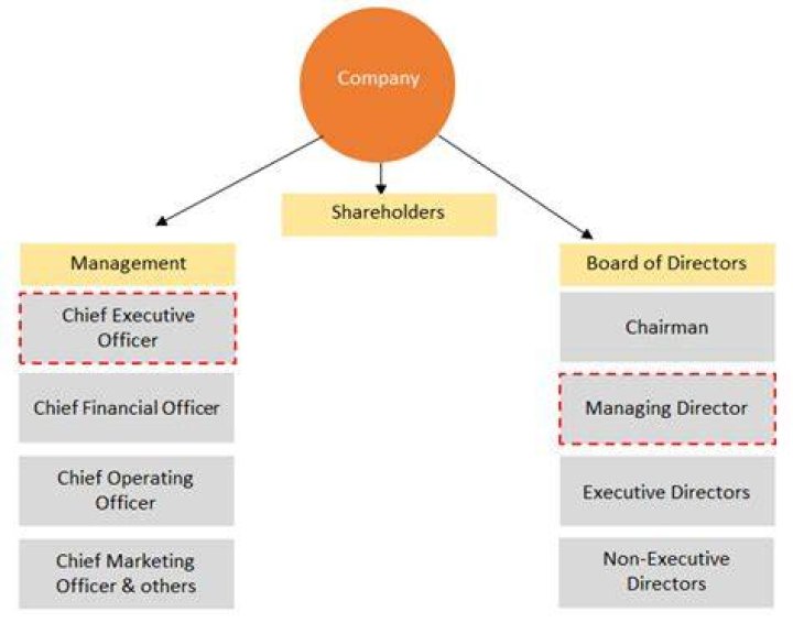 Who is higher in rank CEO or Managing Director?