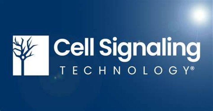 Who owns Cell Signaling Technology?