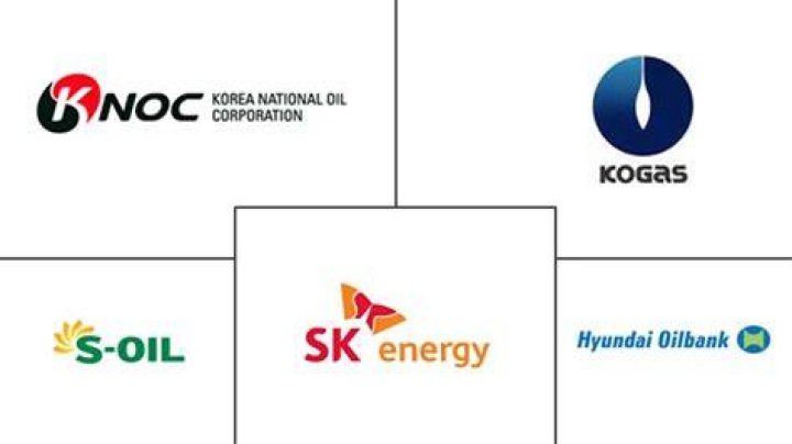 Who owns Korea National Oil Corporation?