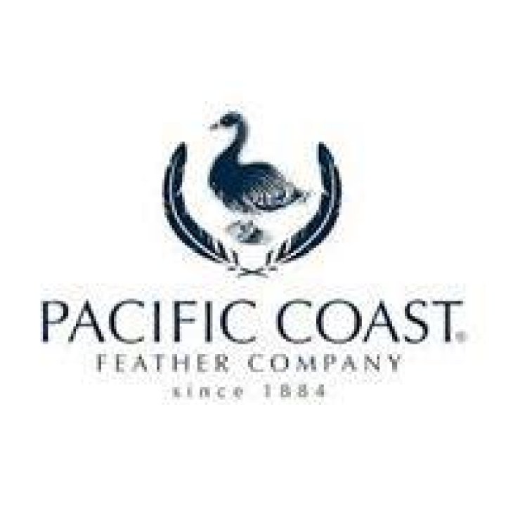 Who owns Pacific feather company?