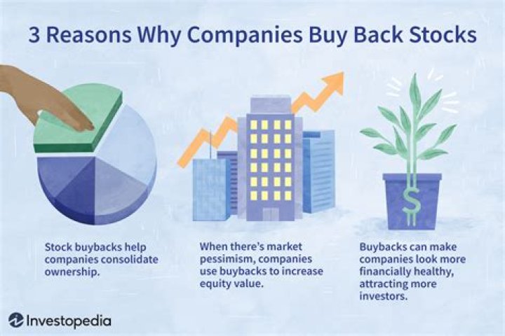 Why might someone buy shares in a company?